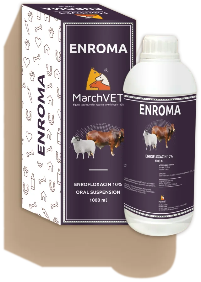 ENROMA (ENROFLOXACIN 100MG)