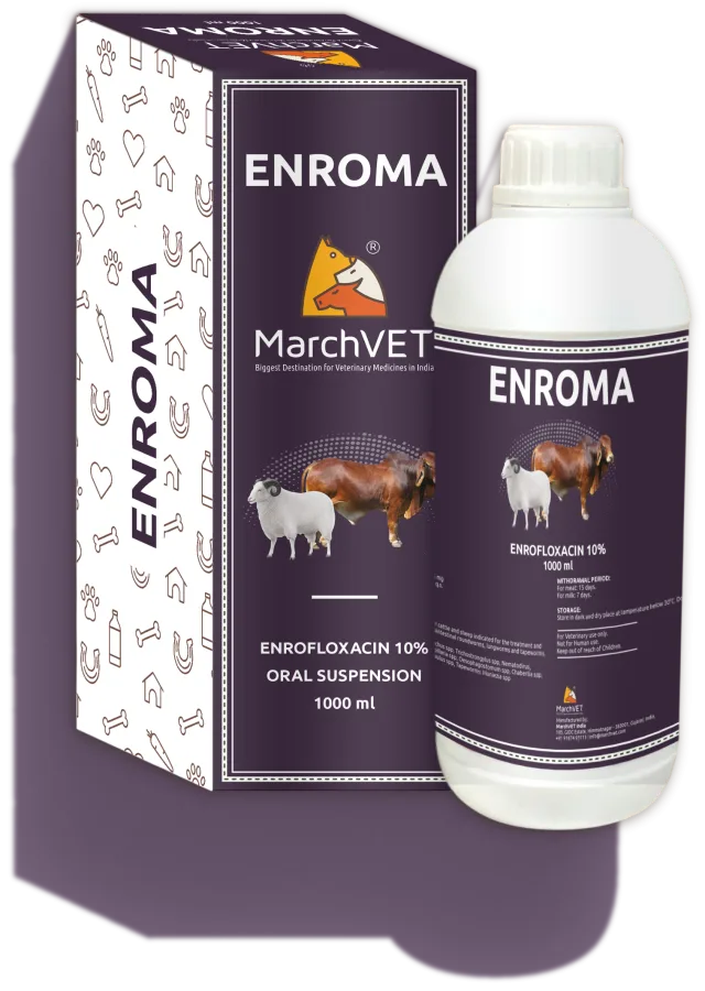ENROMA (ENROFLOXACIN 100MG)