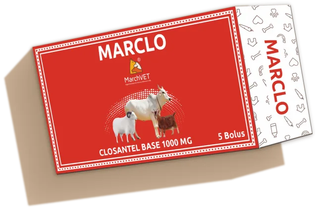 MARCLO (CLOSANTEL BASE) hover