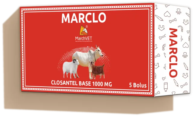 MARCLO (CLOSANTEL BASE)