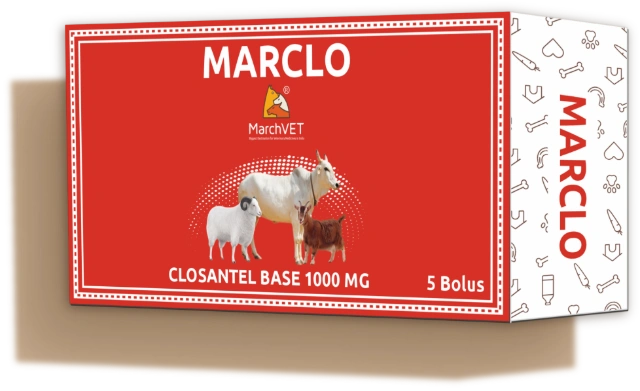 MARCLO (CLOSANTEL BASE) hover