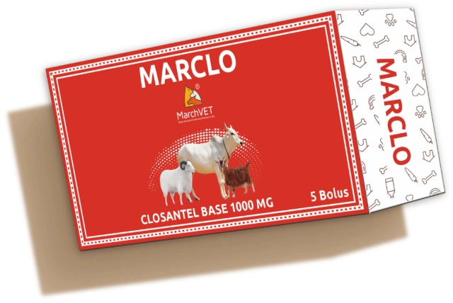 MARCLO (CLOSANTEL BASE)