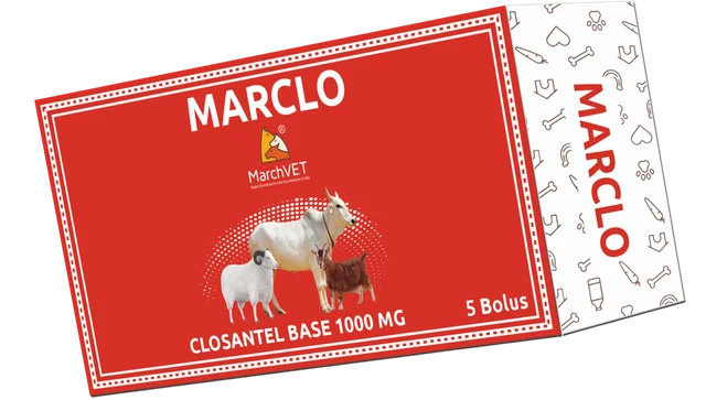 MARCLO (CLOSANTEL BASE) hover